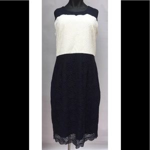 Karl Lagerfeld navy white lace dress size 12